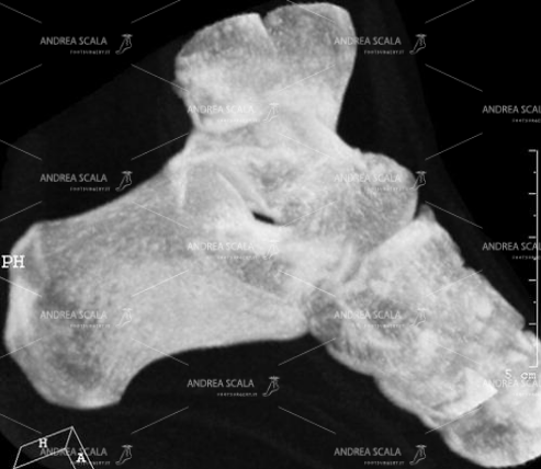 6 Questa ricostruzione 3D  non è ben eseguita ed è  molto scadente