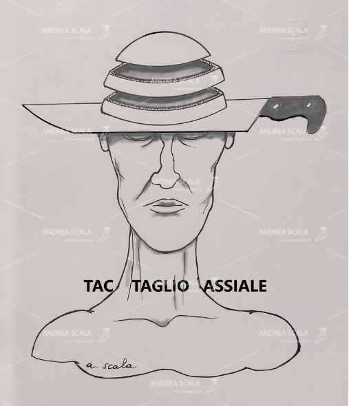 taglio assiale. L’organismo viene tagliato in senso trasversale (orizzontale)