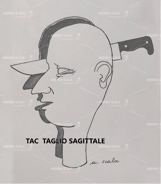 taglio sagittale. L’organismo viene tagliato in senso laterale, secondo l’asse longitudinale.