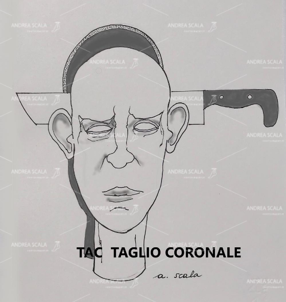 taglio coronale. L’organismo viene tagliato in senso frontale (coronale), secondo l’asse longitudinale.